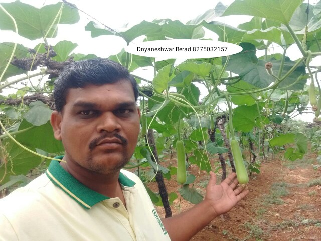 Green Planet Bio Products Ahmednagar Mobile  shop Ahmednagar